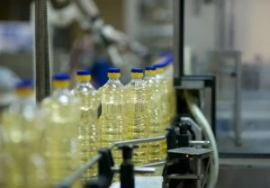 produkcja oleju palmowego 1